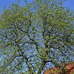 Amelrode Zu Casa di campagna *